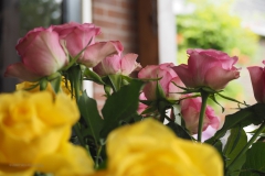 roos#(20200717) rozen