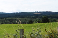 sd04-glenaffric#(20240829)a schotland