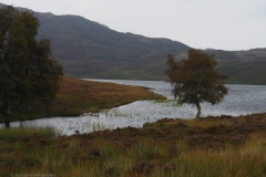 sd04a-lochness#(20240829)b schotland