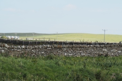 sd06-orkney#(20240831)e schotland