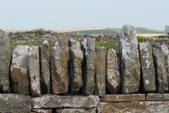 sd06-orkney#(20240831)ea schotland