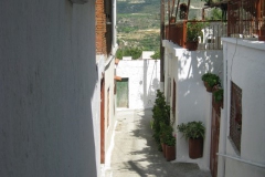 cyprus#(20130616)a straten
