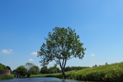 denbosch#(20250516)e straten