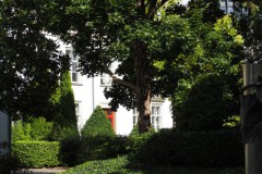 breda#(20250905)f straten