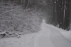 straat#(20210207)c straten
