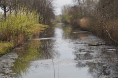 watersingel#(20200316)a