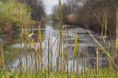 watersingel#(20200316)b