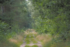 ede#(20210815) straten