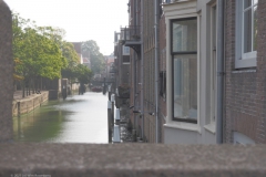 dordrecht#(20210917)a straten