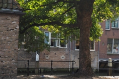 dordrecht#(20210917)e straten