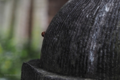 amersfoort#(20201002)bb straten