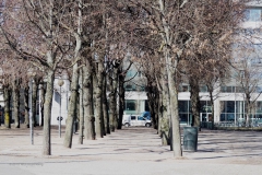 oslo#(20190318) straten