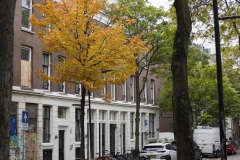 straat#(20191011)b straten