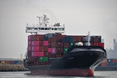 schip#(20190302)a