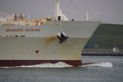 schip#(20190302)c