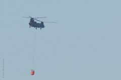helicopter#(20210302)a transport
