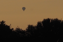 luchtballon#(20240717) transportr