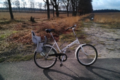 fiets#(20130203) transport
