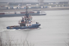 schip#(20190302)e