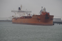 schip#(20190302)f