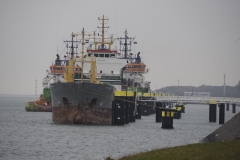 schip#(20190302)g