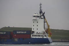 schip#(20190302)h