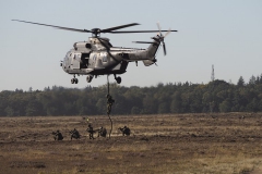 helicopter#(20190921)a transport