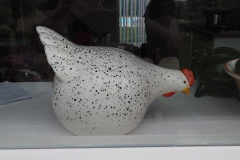 kip#(20160611) vogels