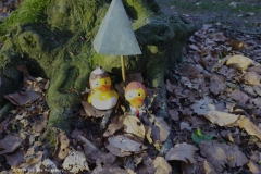 eend#(20240418) vogels