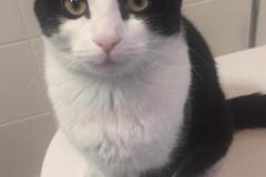 kat#(20190619) blogs