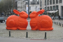 konijn#(20090327)
