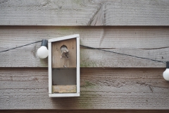 muis#(20210404)a