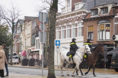 paard#(20231110)