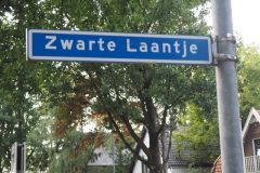 a-B-PB#(20220709)a zwarte laantje