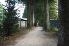 c-B-PB#(20220709)b zwarte laantje