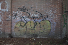 d-B-PB#(20220709)c zwarte laantje