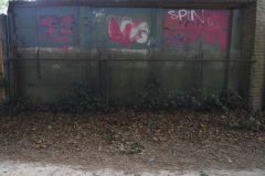 e-B-PB#(20220709)d zwarte laantje