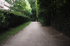 f-B-PB#(20220709)e zwarte laantje