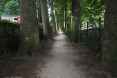 g-B-PB#(20220709)f zwarte laantje