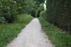 i-B-PB#(20220709)h zwarte laantje