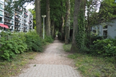 j-B-PB#(20220709)i zwarte laantje