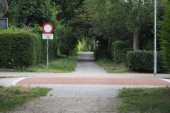 k-B-PB#(20220709)j zwarte laantje