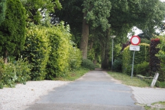 l-B-PB#(20220709)k zwarte laantje