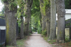 PB-B#(20220709)b zwarte laantje