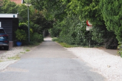 PB-B#(20220709)c zwarte laantje