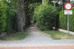 PB-B#(20220709)d zwarte laantje