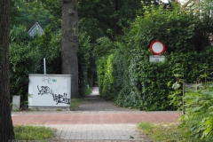 PB-B#(20220709)e zwarte laantje