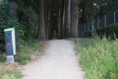 PB-B#(20220709)g zwarte laantje